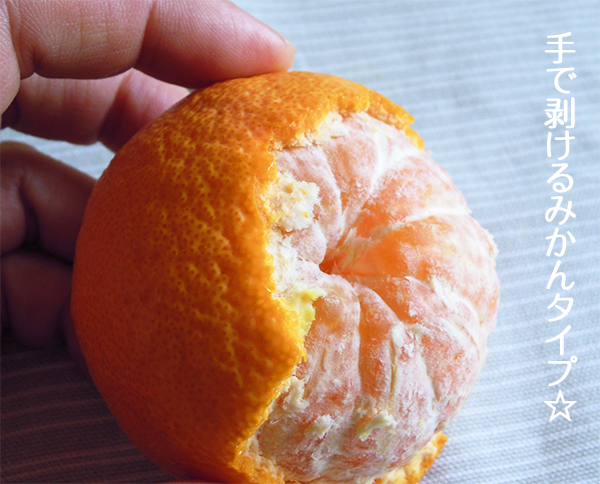 美味しい　オレンジ