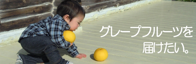 コラム
