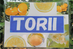 TORII