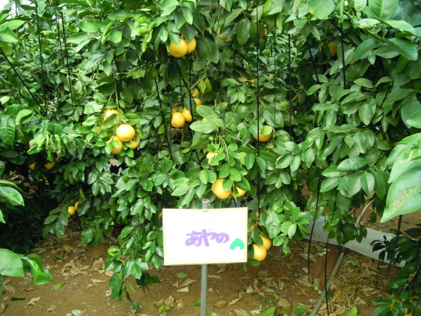 4月看板設置