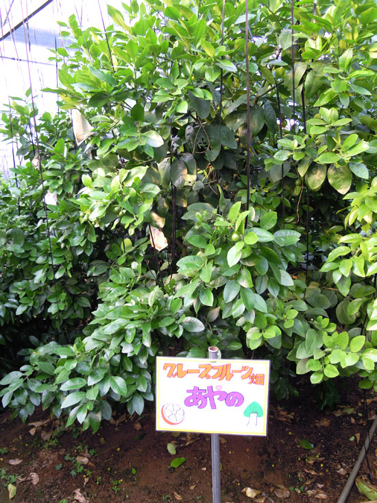 4月看板設置