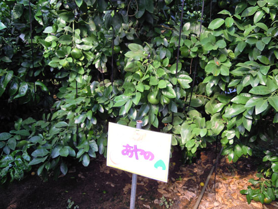 4月看板設置