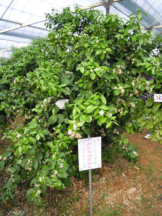 4月看板設置
