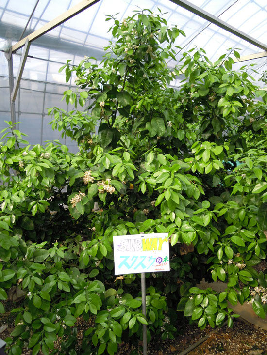 4月看板設置